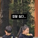 인스타 릴스에 자주뜨는 누나 너무 멋져 이미지