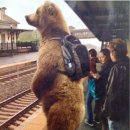 (유)삼환 | 2025년 10월