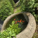 안녕하세요 출석도 열심히 하고 이미지