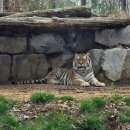 문화한바퀴(나종사랑) | 두벅두벅 전주, 한바퀴🎡
