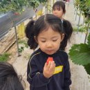 순성어린이집 이미지