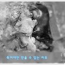 요동농장 이미지