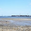 선재 바다펜션 이미지