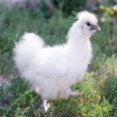 국토행정사사무소 이미지