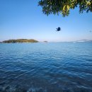 행복펜션 | 여수 댕댕이 애견가족펜션 골드 – 반려견과 행복해지는 바다 뷰 여행 후기