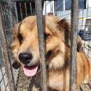 속구미경로당 이미지