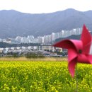 대저생태공원 이미지