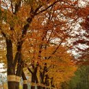 침벽공원 Daum카페