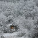 행복한 집 이미지