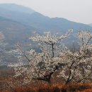 대동LPG충전소 이미지