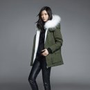 옐로우레이디버드 이미지