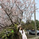 호암토성1로 12, (호암동) | 충주 호암동맛집 덕수파스타 신메뉴 후기