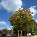 한옥마을 관광안내소 | 공주 한옥마을 관광 후기 – 한복 체험부터 족욕까지 즐길거리 많은 곳