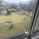 봉자막창진부점 | 2511+2512
