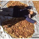 행복한도담어린이집 이미지