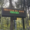 안일사 - 1137 | [대구 가을 등산 추천]대구 앞산 안일사 코스 후기