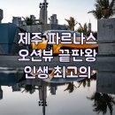 my drink museum | 파르나스 호텔 제주, 인생 최고의 오션뷰! 럭셔리 끝판왕!