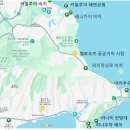 무지개주유소 | [하와이 한달살기] Day26. 하와이 운전, 주유, 주차, Sixt 렌터카 후기