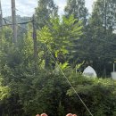 큰마당 오토캠핑장 | 충남 논산 큰마당오토캠핑장 | 프리미엄 1번 사이트 리얼후기 🏕️ 개별샤워·그늘맛집·카약존·매점탄탄