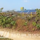 무릉2리(평지동) 이미지