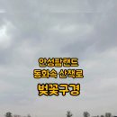 초원꽃조경
