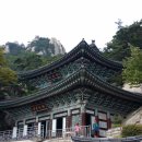 서호중학교 이미지