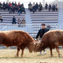 전승축산 이미지