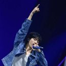 진  전 이미지