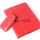 케이스홀릭