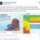 플란다스의개 이미지