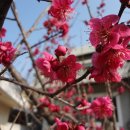 양지마을2길 이미지