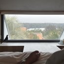 펠롱여관 | 26년 최신 정보 “펠롱여관” - 조용한 동네에 위치한 제주 서쪽 자쿠지 독채 숙소 ㅍ타입 | 내돈내산 후기