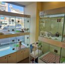 라이프독 강릉점 24시 강아지분양 고양이분양 이미지