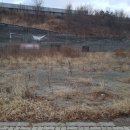 신대주유소 이미지