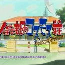 코스모스장 이미지