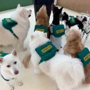 새마을 유치원 이미지