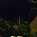 기린산소 이미지