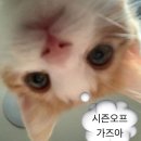 P-5601 | 여름 시즌오프에 살까말까 고민되는 것들..🤔 - 노컨텐츠, 산산기어, 스컬프터, 오도어, 에이이에이이...