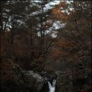 치인 야영장 이미지