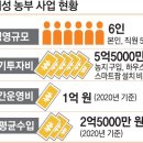 삼아카센타 동아일보