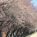 금호강7 이미지