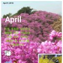 양재천근린공원 이미지