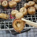 원조고향막창 | [안동 대구막창]막창골목 원조대구막창 솔직후기