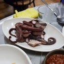 다찌호프