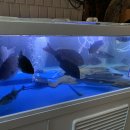 농협 석포지점 이미지