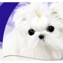 25시 종합동물병원 이미지