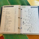 산업로-6 | (울산삼산맛집) 마마꾸 점심·저녁 분위기 달라지는 삼산동 분위기맛집 시금치피자 짝갈비크림파스타 후기