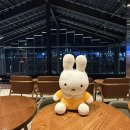 스타벅스광안리점 | 밀락더마켓 광안리 스타벅스 칵테일 솔직후기