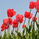 서초 전문 행정사사무소 이미지