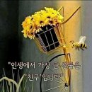 산그린펜션 이미지